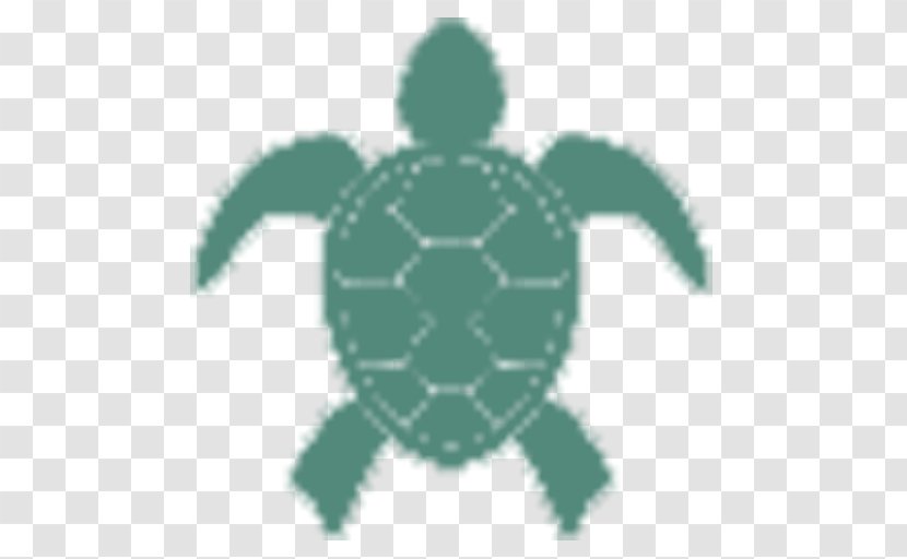 Little Cayman Sea Turtle Real Estate Property Land Lot - Cartoon Betty Boo Transparent PNG