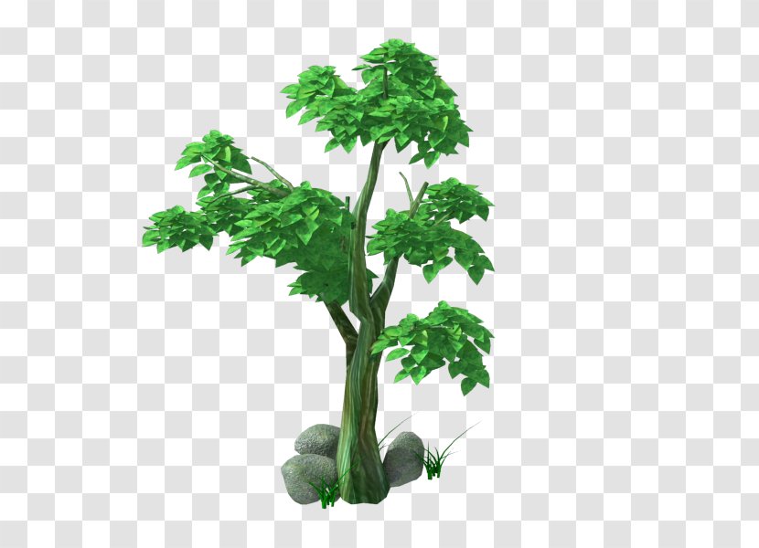 Green Flowerpot Leaf - Tree,Trees,wood,plant Transparent PNG
