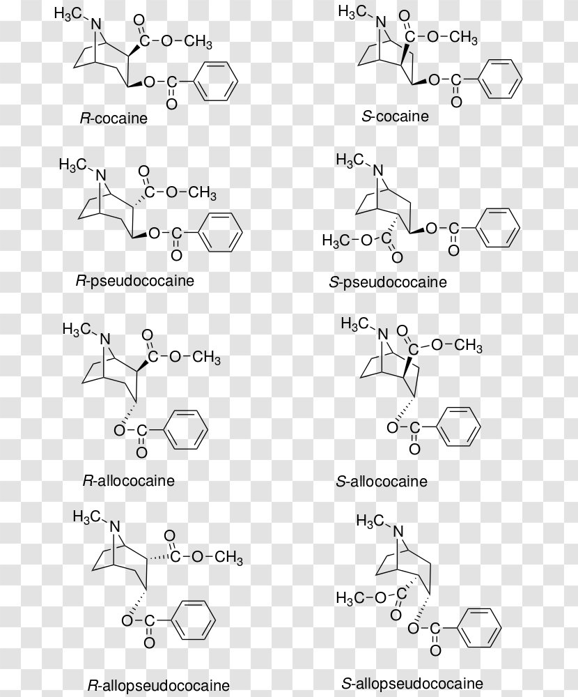 Tropane Cocaine Benzocaine Wikipedia Ester - Line Art - Dimethocaine Transparent PNG
