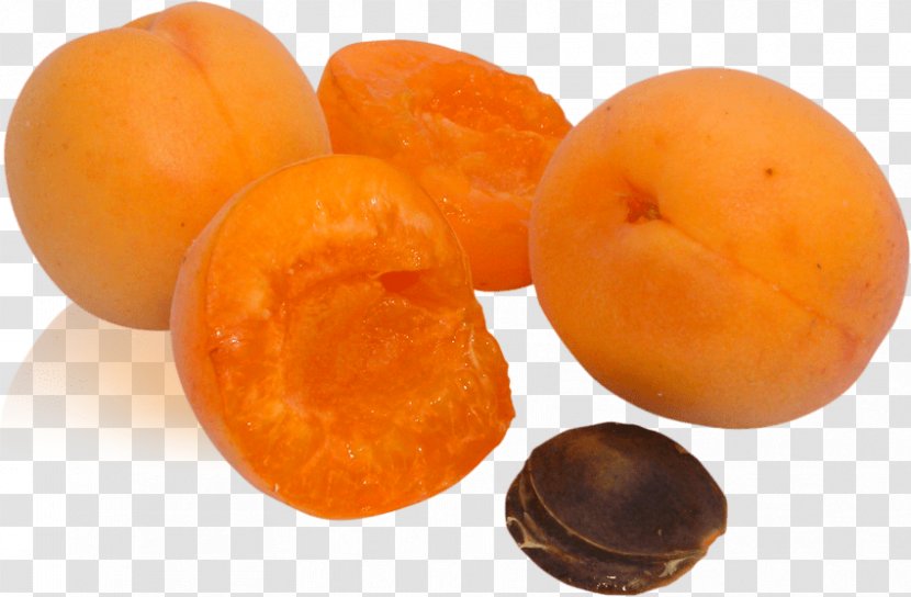 Nectarine Peach Fruit Clip Art - Orange - Succulent Transparent PNG