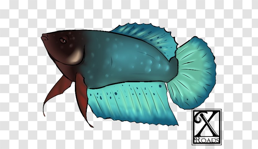 Marine Biology Fauna Turquoise Fish Transparent PNG