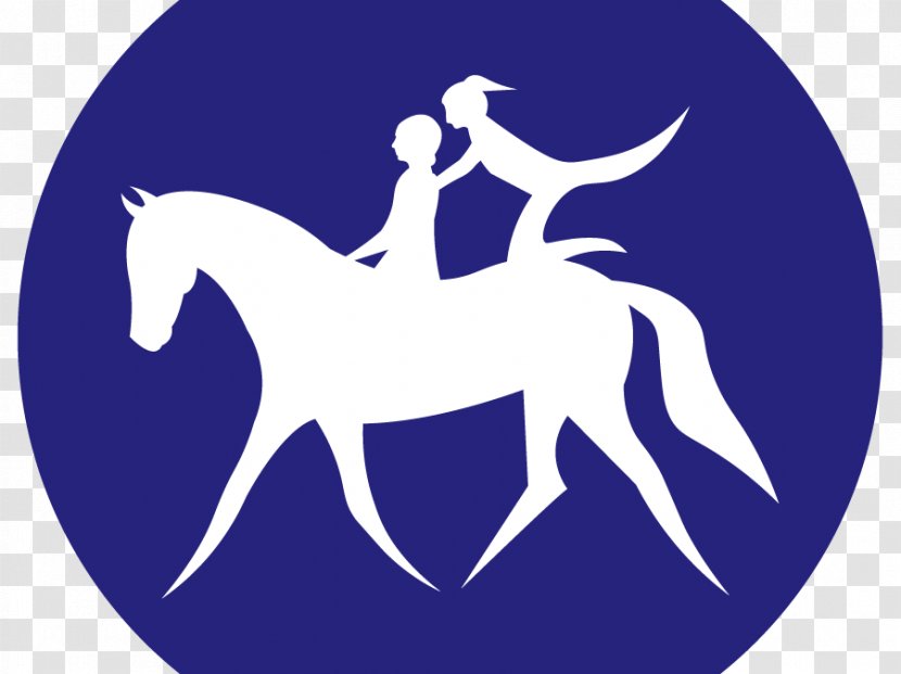 Horse Equestrian Vaulting Equine-assisted Therapy Sport Transparent PNG