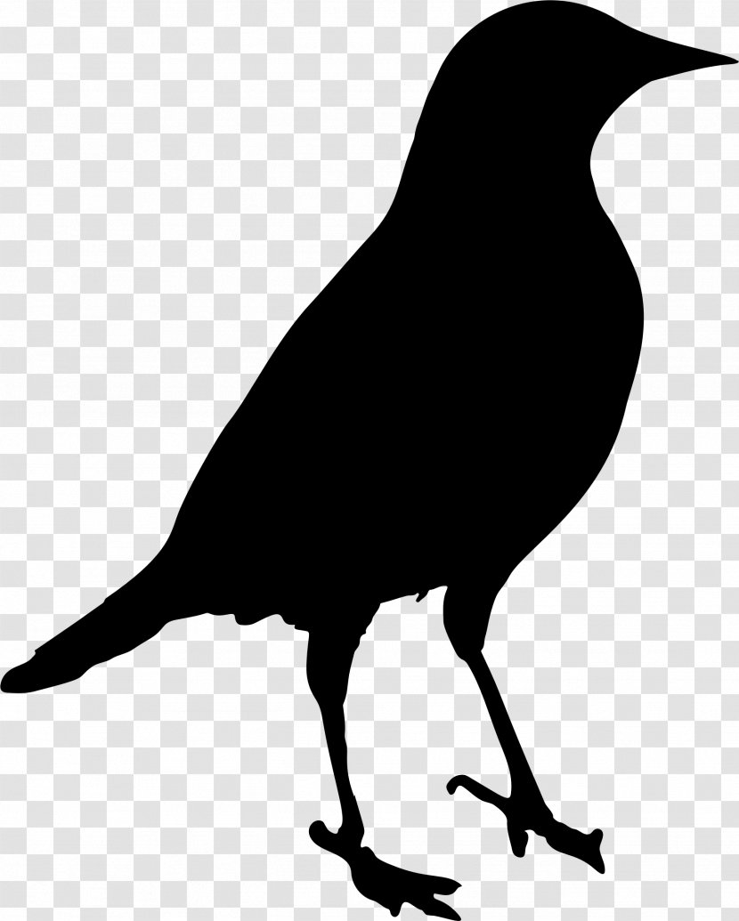 Bird Silhouette Crow Clip Art - Like Transparent PNG