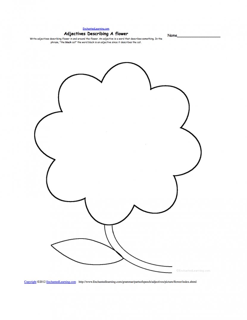 Student Kindergarten Pre-school Lesson Petal - Frame - Blank Flower Template Transparent PNG