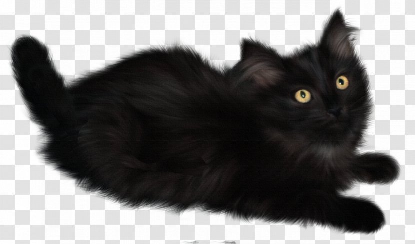 Cat Kitten Clip Art - British Semi Longhair - Witch Transparent PNG