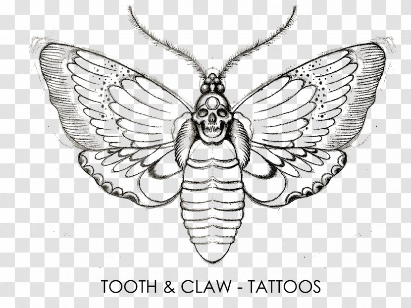 Tattoo Line Art Flash Sketch - Insect - Claw Scratch Transparent PNG