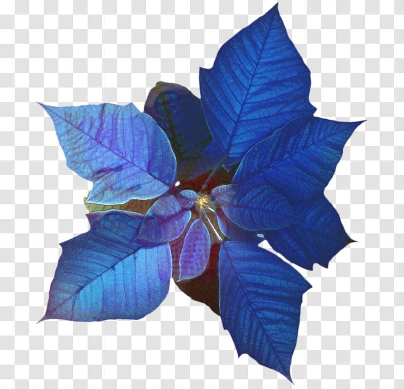 Plants Background - Plant - Flower Transparent PNG