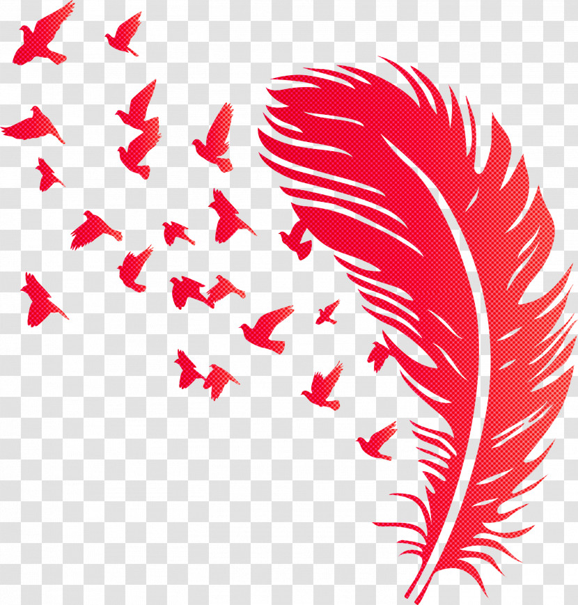 Bird Feather Transparent PNG