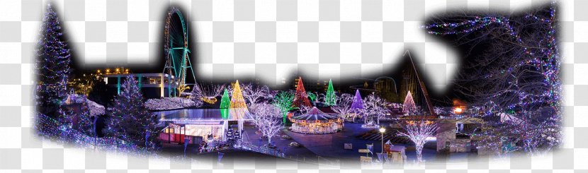 Yomiuriland Amusement Park Tokyo PARTY☆PARTY イルミネーション - Common Fig Transparent PNG