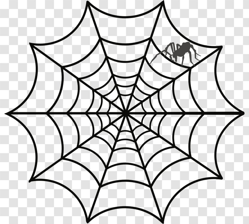 Spider Web Drawing Clip Art - Symmetry Transparent PNG
