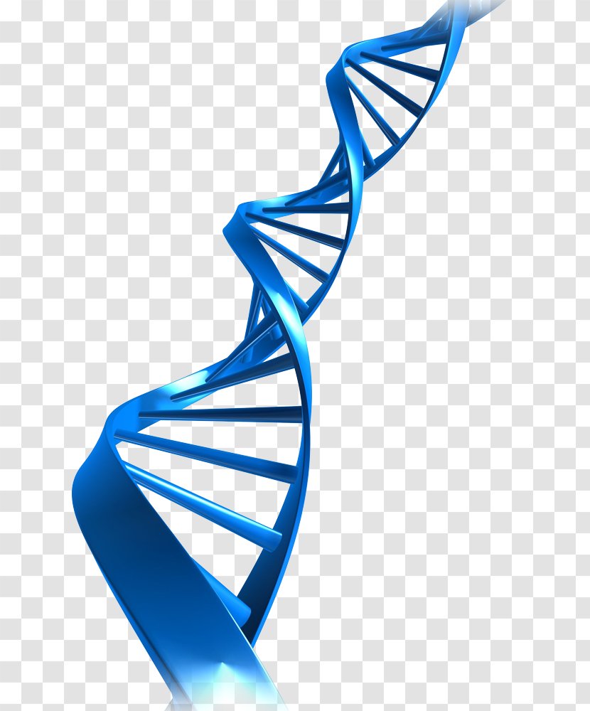 The Double Helix: A Personal Account Of Discovery Structure DNA Laboratory Nucleic Acid Helix Health - Therapy Transparent PNG