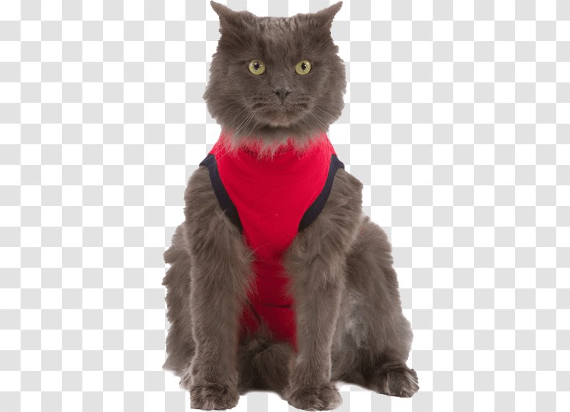 T-shirt Cat Amazon.com Dog Clothing - Dress Shirt Transparent PNG