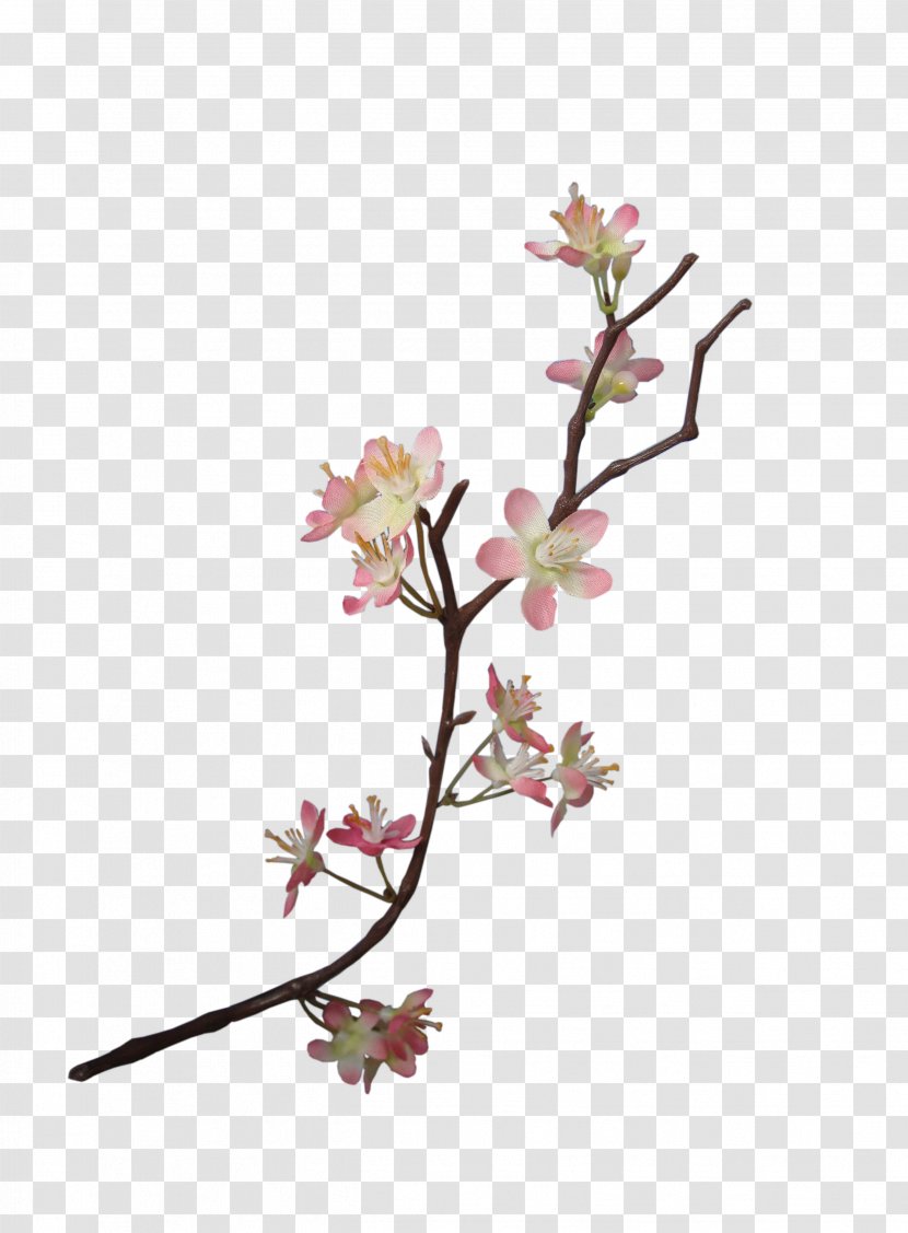 Flower Paper Floral Design Embellishment Scrapbooking - Branch - BLOSSOM Transparent PNG