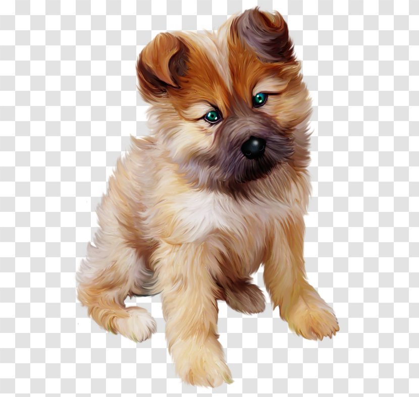 Museum Of Fine Arts, Boston Dog The Art Raising A Puppy - Havanese - Clipart Transparent PNG
