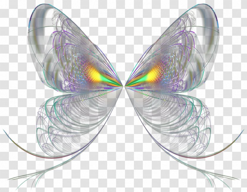 Animaatio Aile Wing Idea - Wings Transparent PNG