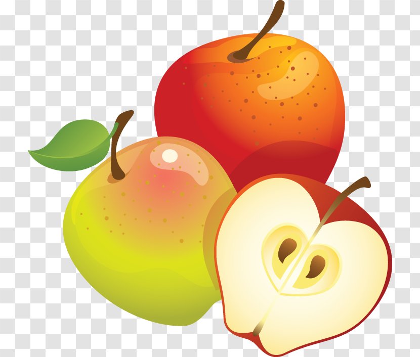 Apple Clip Art - Orange Transparent PNG