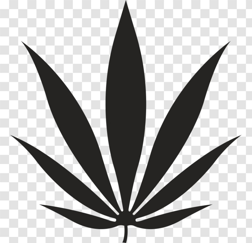 Leaf Paper Cannabis Sticker Hemp - Plant Transparent PNG