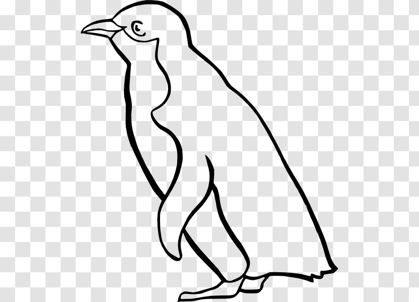 King Penguin Drawing Emperor Clip Art - Area - Small Cliparts Transparent PNG
