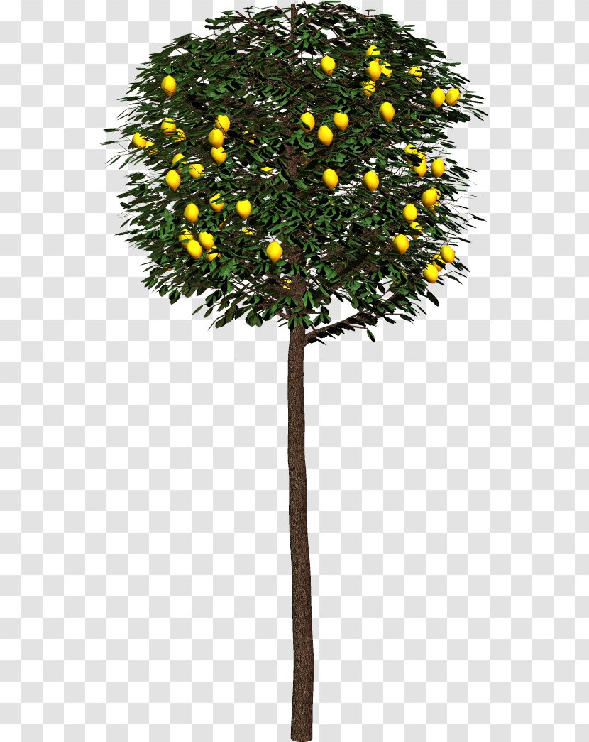 Tree Shrub Clip Art - Flowerpot Transparent PNG