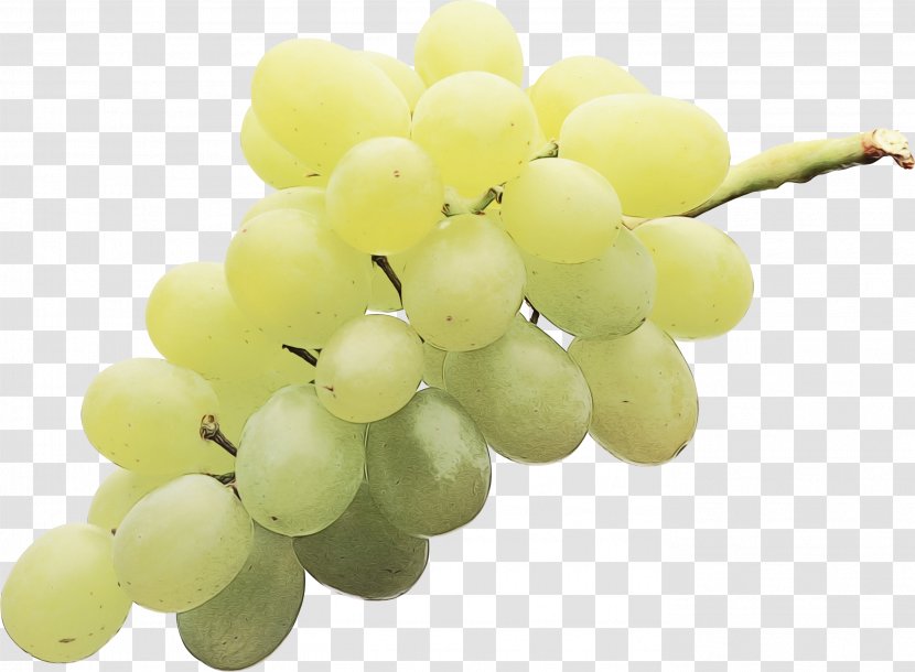 Grapes Cartoon - Food - Grape Seed Extract Flower Transparent PNG