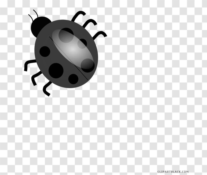 Clip Art Vector Graphics Ladybird Beetle Free Content - Drawing - Black Ladybug Transparent PNG