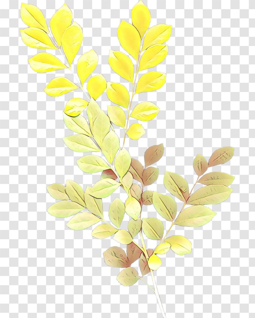 Palm Tree Drawing - Trees - Twig Plant Transparent PNG