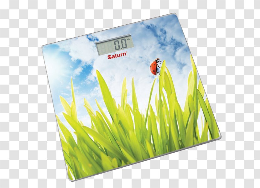 Rozetka Measuring Scales Price Home Appliance Saturn - Silhouette - Foxglove Transparent PNG