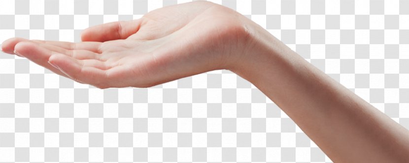 Hand Finger Wrist Arm - Cartoon Transparent PNG