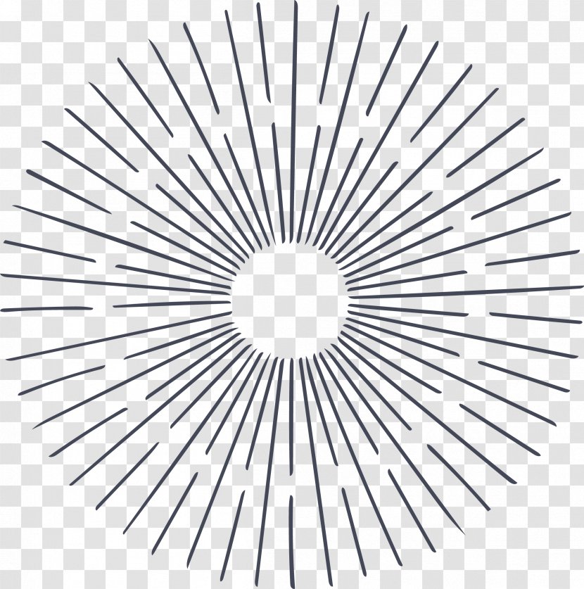 Circle Illustration - Area - Radial Vector Pattern Transparent PNG