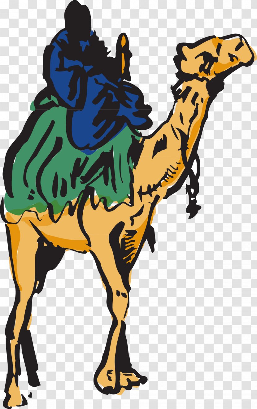 Dromedary Zagora Clip Art - Camel Train - Like Mammal Transparent PNG