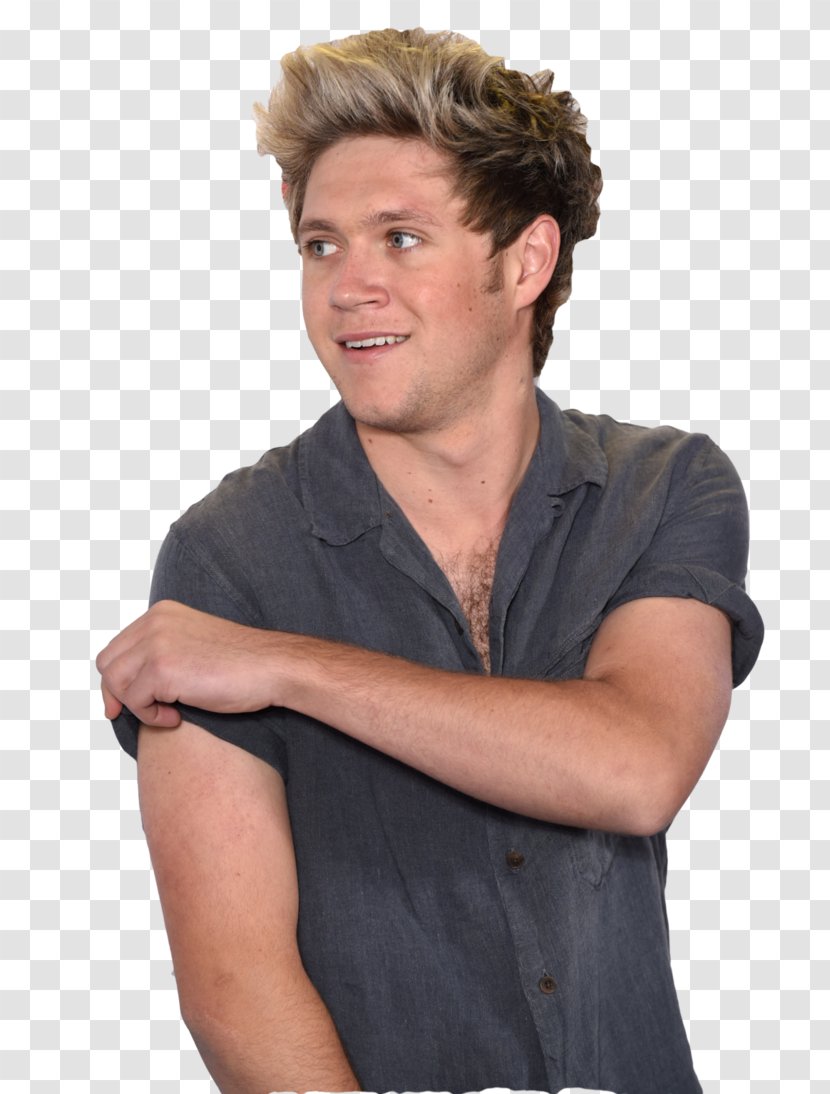 Niall Horan One Direction Midnight Memories - Heart Transparent PNG