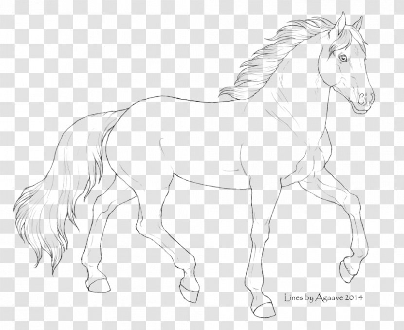 Horse Foal Pony Mane Stallion - Line Art - Arabian Pattern Transparent PNG