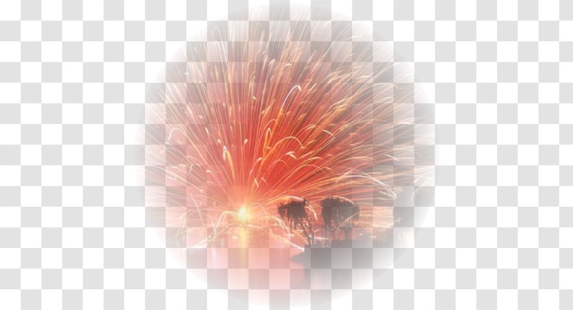 Desktop Wallpaper Fireworks Clip Art - Artificier Transparent PNG