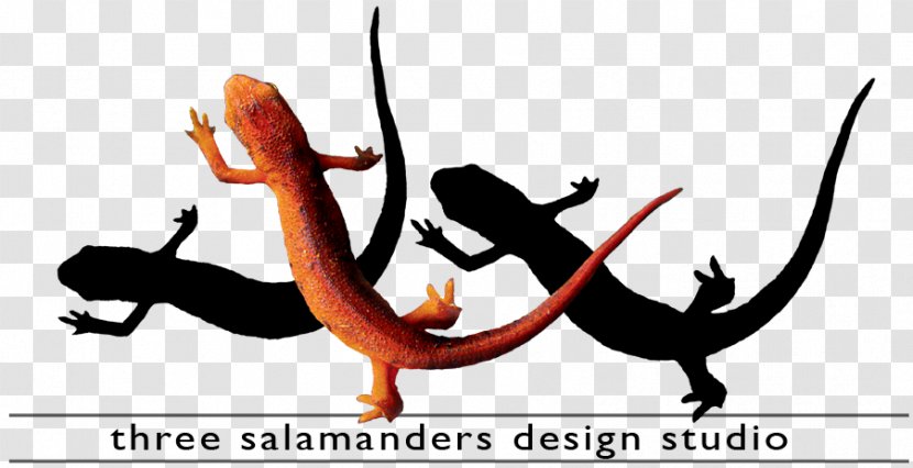 History Of Graphic Design Studio Salamander - Printing - Retouching Transparent PNG