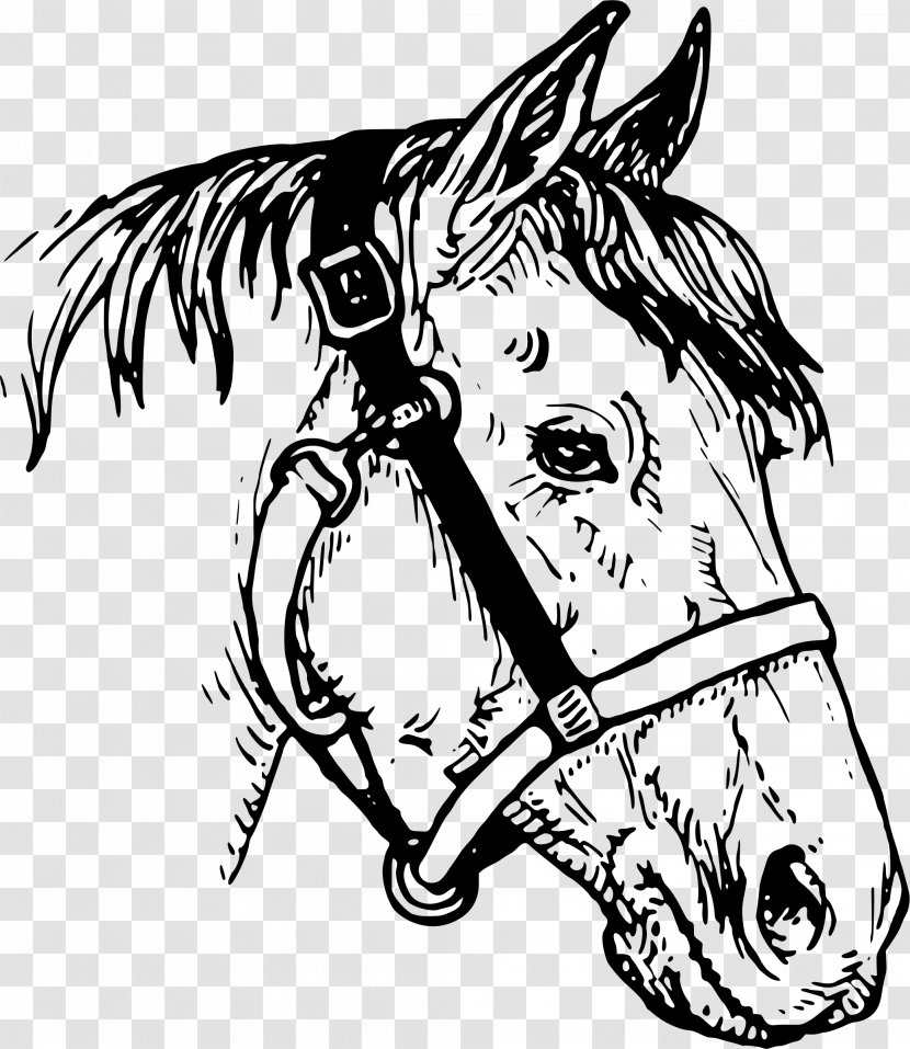 American Quarter Horse Clip Art - Cartoon - Horseshoe Transparent PNG