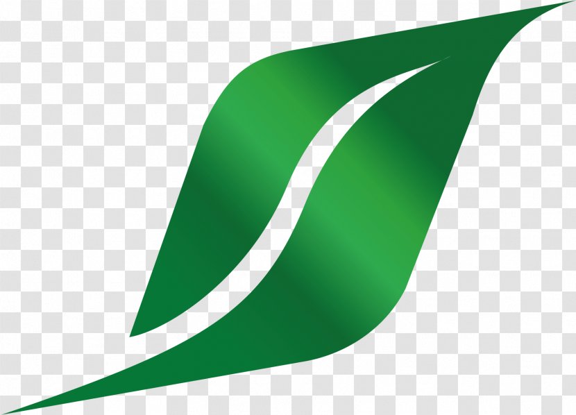 Line Angle Green Transparent PNG