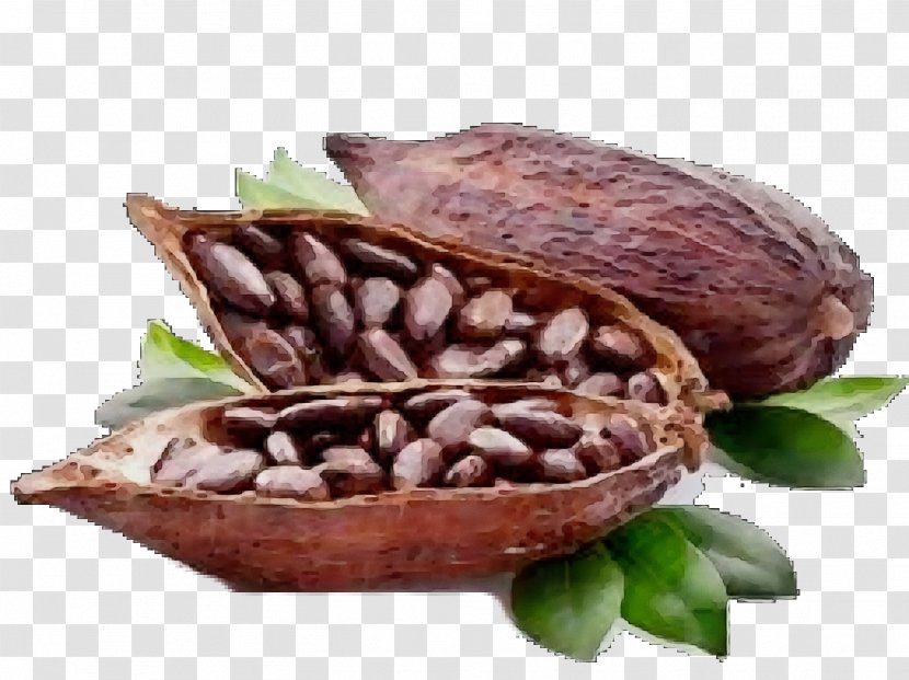 Food Cocoa Bean Cuisine Ingredient - Dish Plant Transparent PNG