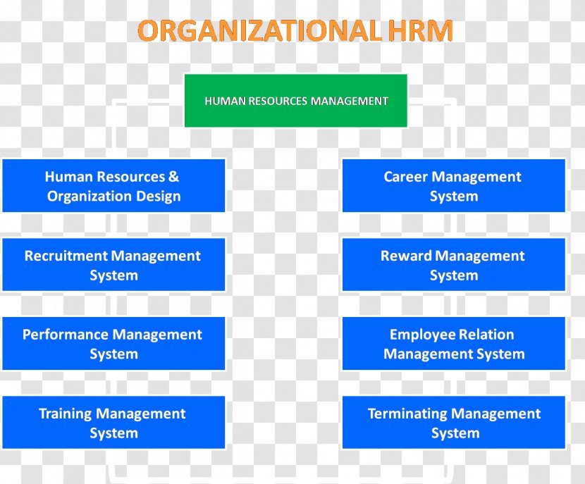 Organization Human Resource Management System - Information Transparent PNG