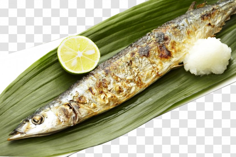 Pacific Saury Barbecue Grill Fish Grilling Cooking - Osmeriformes - Leaves On Transparent PNG
