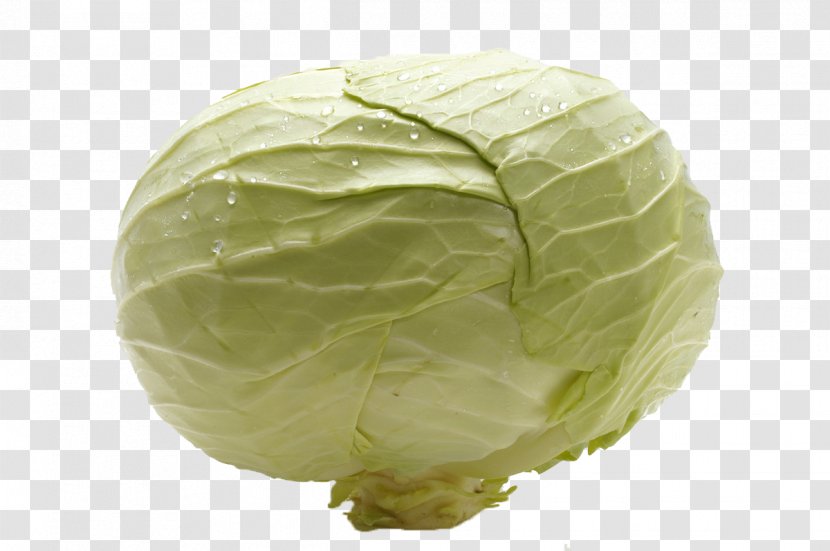 Savoy Cabbage Nimono Vegetable Food - Eating Transparent PNG