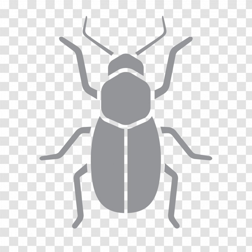Insect Pest Control Wasp Exterminator - Bedbug Transparent PNG