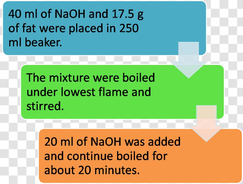 Knowledge Anatomy Business Information United States National Chemistry Olympiad - Decisionmaking - Biochemistry Transparent PNG