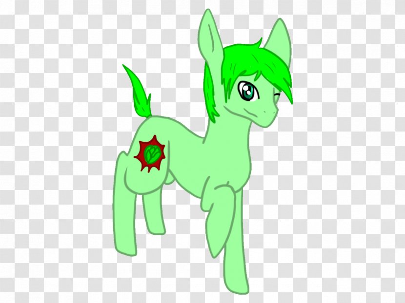 Cat Pony Horse - Plant - Green Cabbage Transparent PNG