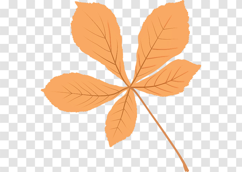 Leaf Maple Leaf / M Petal Tree Branching Transparent PNG