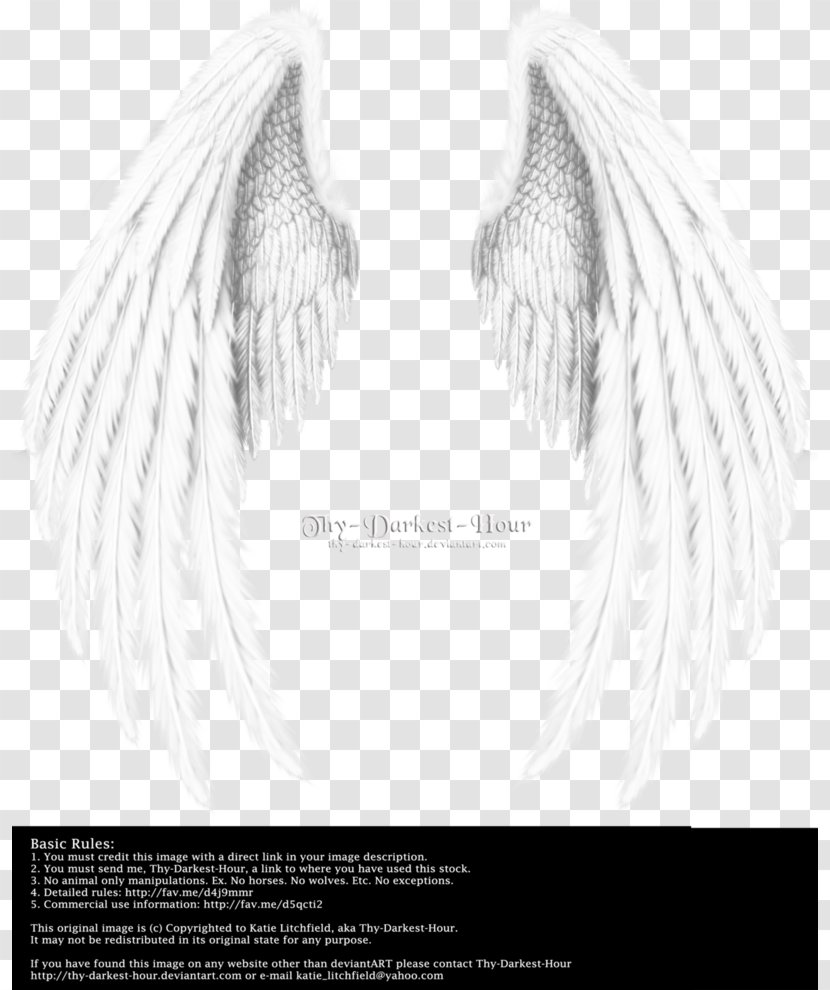 Angel Wing - Wing,Angel Wings,Real Transparent PNG