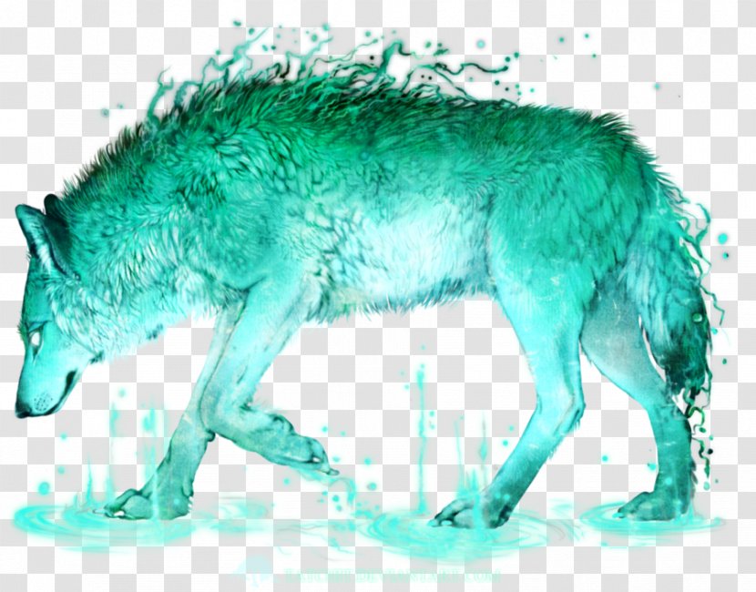 Coyote Gray Wolf Turquoise Snout Fauna Transparent PNG