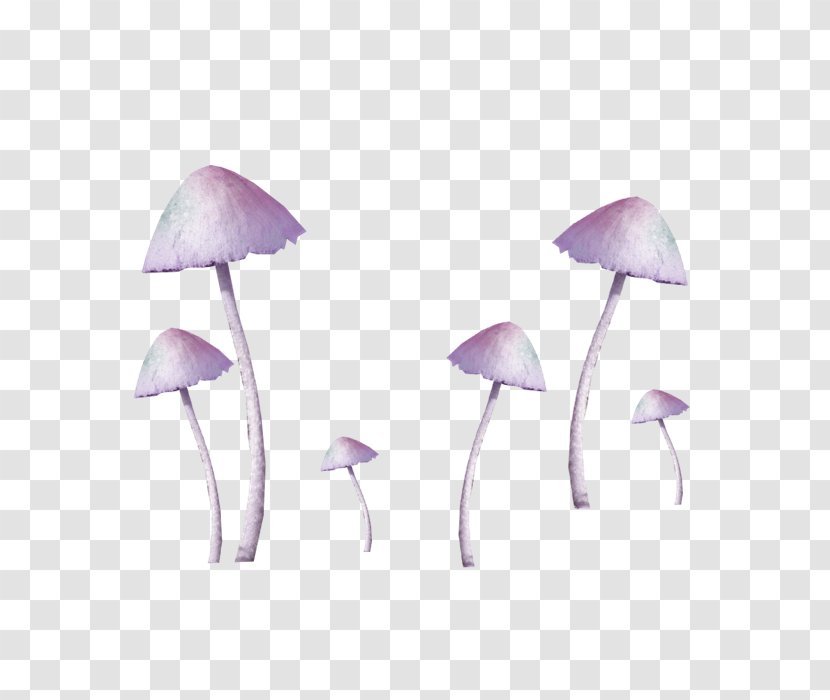 Amanita Muscaria Common Mushroom Fungus - Purple Fresh Decorative Patterns Transparent PNG