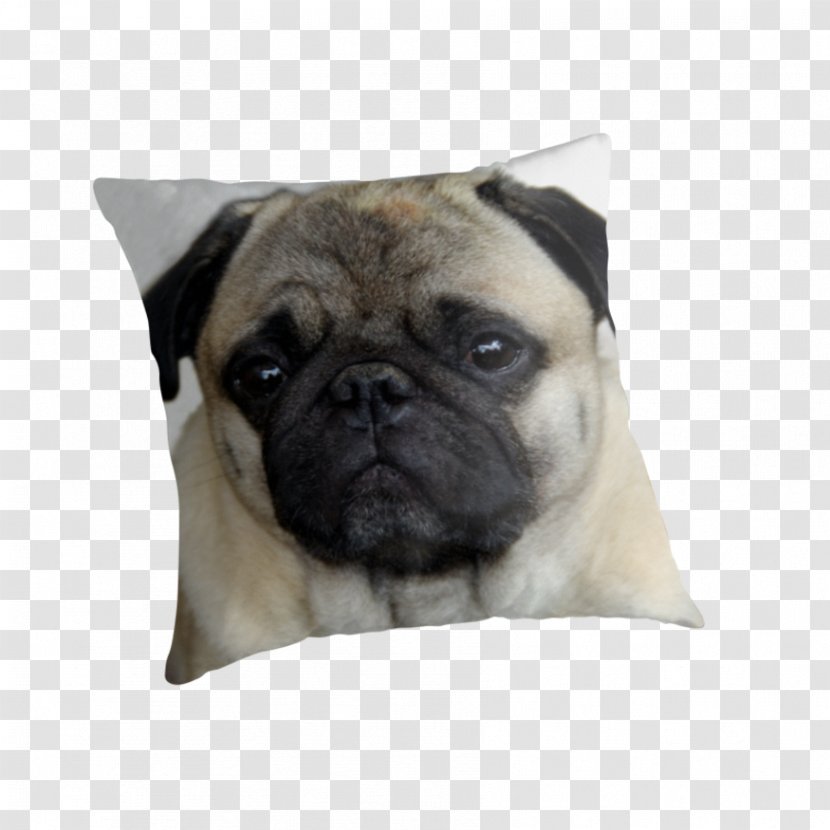 Pug Puppy Dog Breed Companion Toy - Group Transparent PNG