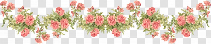 Desktop Wallpaper Flower Clip Art - Floral Design - Marigold Transparent PNG