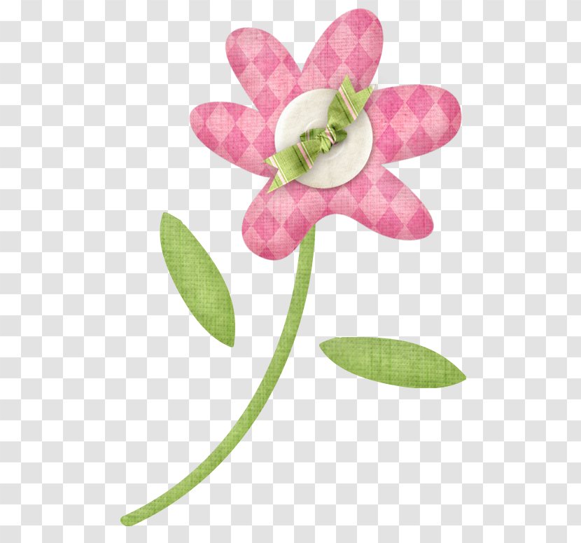 Moth Orchids Cut Flowers Petal Plant Stem - Princess Flower Transparent PNG